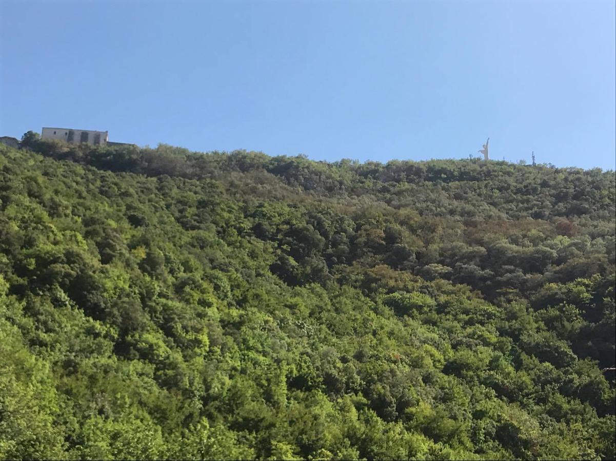 B&B La Torre Maratea Eksteriør billede